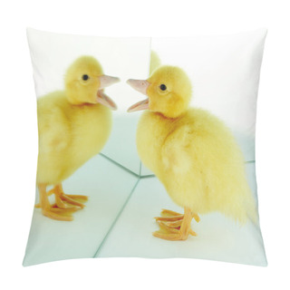 Personality  You Are Funny! Pillow Covers