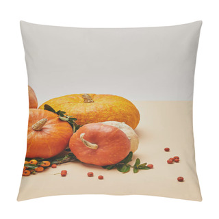 Personality  Autumnal Decoration With Different Pumpkins And Firethorn Berries On Table Pillow Covers