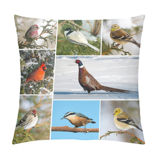 Personality  Winter Birds Collage. Pillow Covers