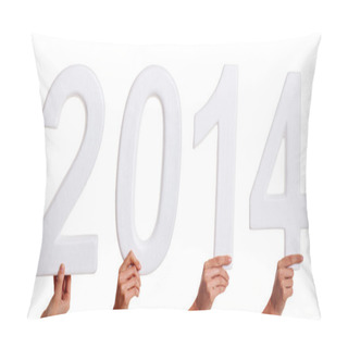 Personality  New Year 2014 Pillow Covers