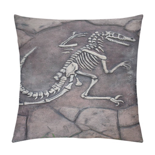 Personality   The Skeleton Of A Dinosaur.                               Pillow Covers