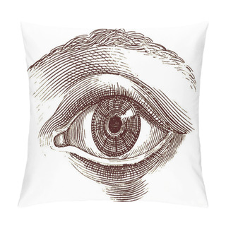 Personality  Human Eye Old Engraving Pillow Covers