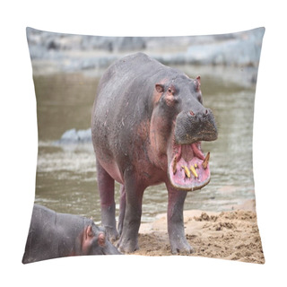 Personality  Common Hippopotamus In The Water  Pillow Covers