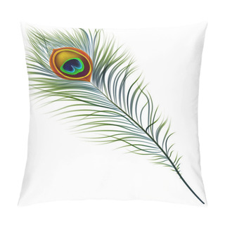 Personality  Peacock Feather. Pillow Covers