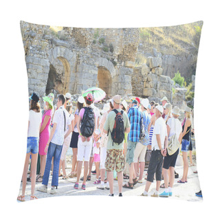 Personality  Tour Guide With Tourists On The Ruins Pillow Covers