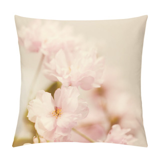 Personality  Sakura Flowers Closeup Pillow Covers