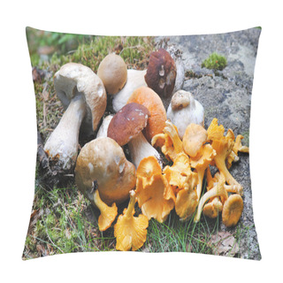 Personality  Mushrooms Pillow Covers