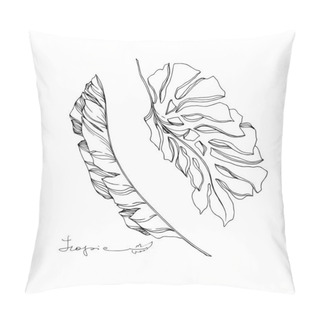 Personality  Vector Palm Beach Tree Leaves Jungle Botanical. Black And White Engraved Ink Art. Isolated Leaves Illustration Element. Pillow Covers