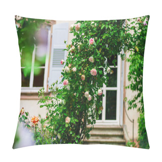 Personality  Botanic Garden With Blossom Flowers, Andlau, Alsace Pillow Covers