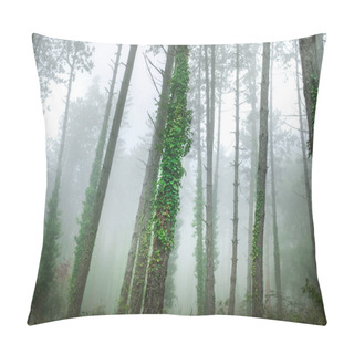 Personality  Fabulous Foggy Forest. Landscape With Trees. Summer Mood Pillow Covers