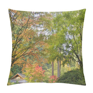 Personality  Tall Upright Japanese Maple Tree In Fall Pillow Covers