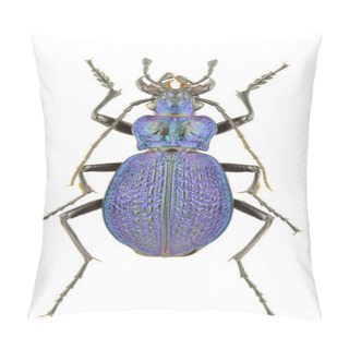 Personality  Carabus Intricatus Pillow Covers