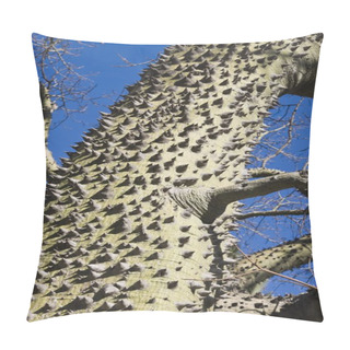 Personality  Trunk Of Chorisia Insignis Tree, White Floss Silk Tree Pillow Covers
