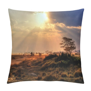 Personality  Gorgeous Sunset With Sunbeams On The Savannah In Africa Pillow Covers