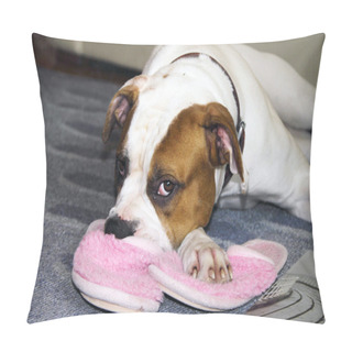 Personality  The American Bulldog Is Waiting For The Host Head On Slipper Pillow Covers