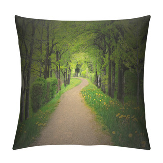 Personality  Mystical Path Through A Dark Forest Pillow Covers