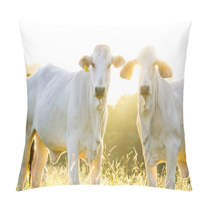 Personality  Brahman Cattle - Bos Indicus  Pillow Covers