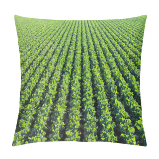 Personality  The Green Agricultural Fields Before The Harvest Pillow Covers