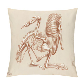 Personality  An Hand Drawn Vector: Sphinx Pillow Covers