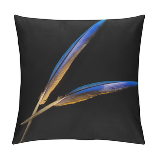 Personality  Feathers, Colored Parrot Feathers Pillow Covers