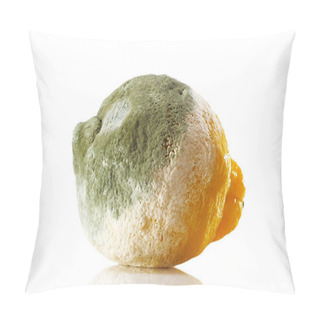 Personality  Rotten Lemon Covered With Mold Pillow Covers