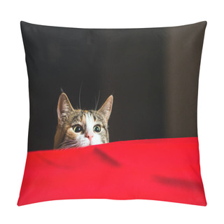 Personality  Cat With Wild Eyes Ready To Attack In Ambush. Pillow Covers