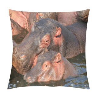 Personality  Hippo Mother And Calf Pillow Covers