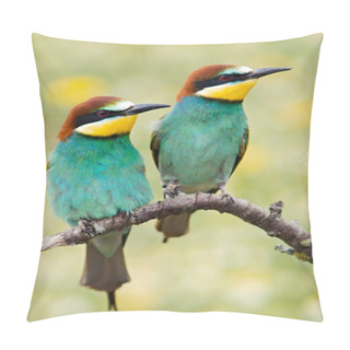 Personality  Couple Of Birds Pillow Covers