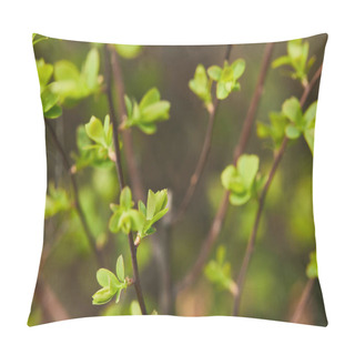 Personality  Close Up Of Green Blooming Leaves In Sunlight On Tree Branches In Spring Pillow Covers