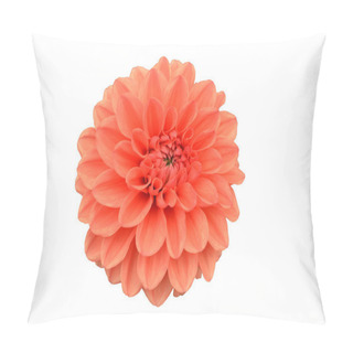 Personality  Garden Dahlia In Summer Pillow Covers