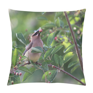 Personality  Eating Cedar Waxwing Pillow Covers