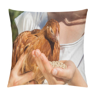 Personality  Cute Girl Enjoying Feeding Chicken In Farm At Sunny Day Pillow Covers