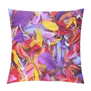 Personality  Multicolored Flower Petals Pillow Covers