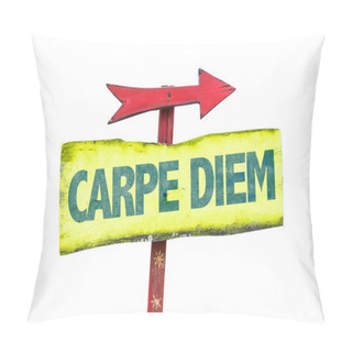 Personality  Carpe Diem Text Sign Pillow Covers