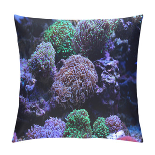 Personality  White Tip Brown Hammer LPS Coral Pillow Covers