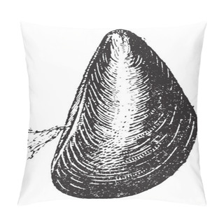 Personality  Marine Mussel, Vintage Engraving Pillow Covers