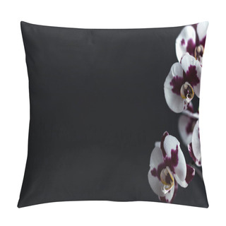 Personality  Flowering Branch Of A Beautiful Orchid, Phalaenopsis On A Black Background. Large White Flowers With Large Purple Spots. Minimalistic Design. Pillow Covers
