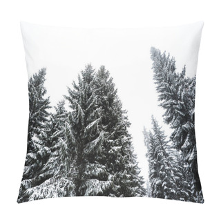 Personality  Low Angle View Of Pine Trees Covered With Snow On White Sky Background Pillow Covers