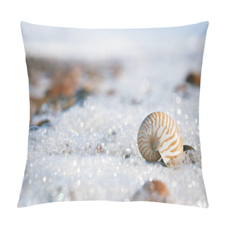 Personality  Nautilus Sea Shell Pillow Covers