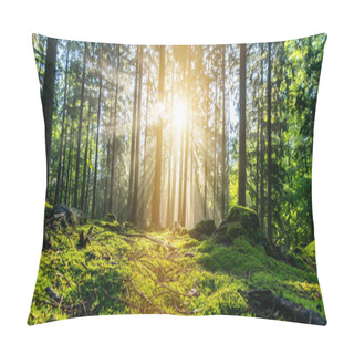 Personality  Panorama Of A Beautiful Forest At Sunrise  Pillow Covers