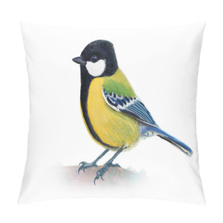 Personality  Great Tit Isolated On White Background Pillow Covers
