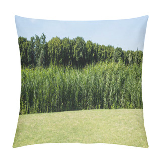 Personality  Panoramic Shot Of Trees And Plants With Green Leaves Near Grass In Park  Pillow Covers