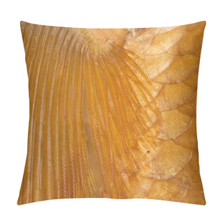 Personality  Bright Golden Scales And Fin Fish Pillow Covers