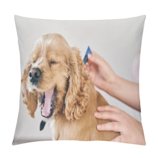 Personality   The Dog Is Dripped On The Withers With A Parasite Remedy Pillow Covers