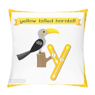 Personality  Letter Y Lowercase Cute Children Colorful Zoo And Animals ABC Alphabet Tracing Flashcard Of Yellow-Billed Hornbill Bird For Kids Learning English Vocabulary And Handwriting Vector Illustration. Pillow Covers