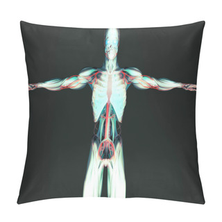 Personality Human Anatomy Model Pillow Covers