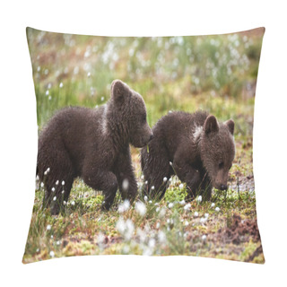 Personality  Brown Bear Cubs Pillow Covers