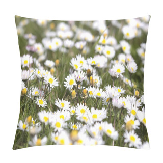 Personality  Flower Blooms In Spring Pillow Covers