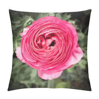 Personality  Buttercup Flower Pillow Covers