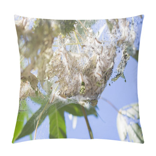 Personality  Hyphantria Cunea On A Tree Pillow Covers